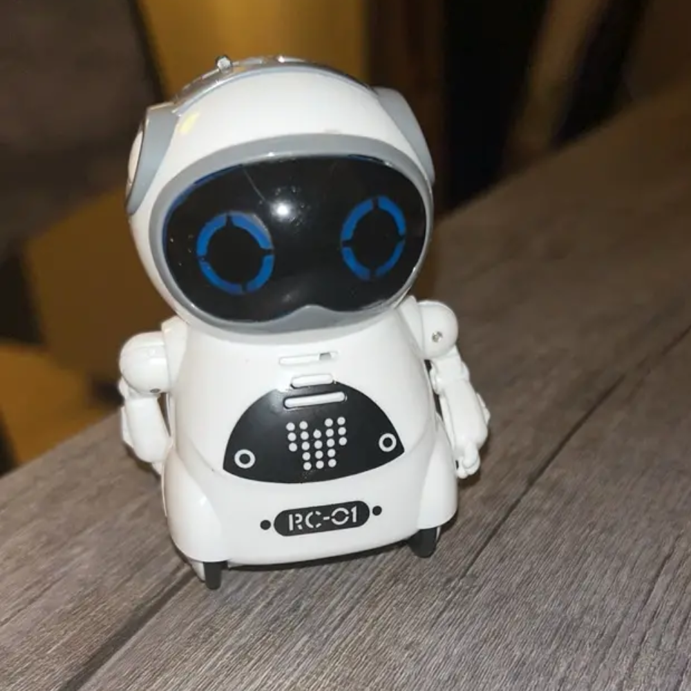 Interactive Mini Robot