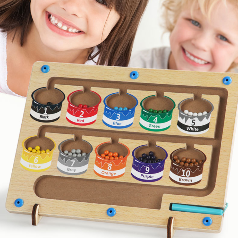 Educational Magnetic Maze