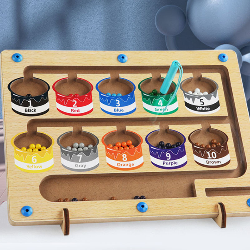 Educational Magnetic Maze