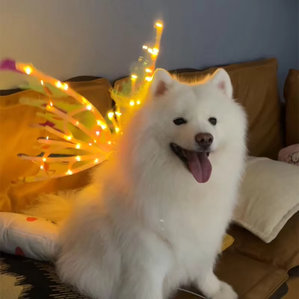 Butterfly Costume Wings