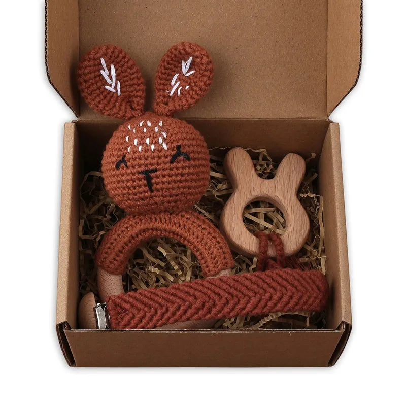 Pacifier Clip Teether Toy Set