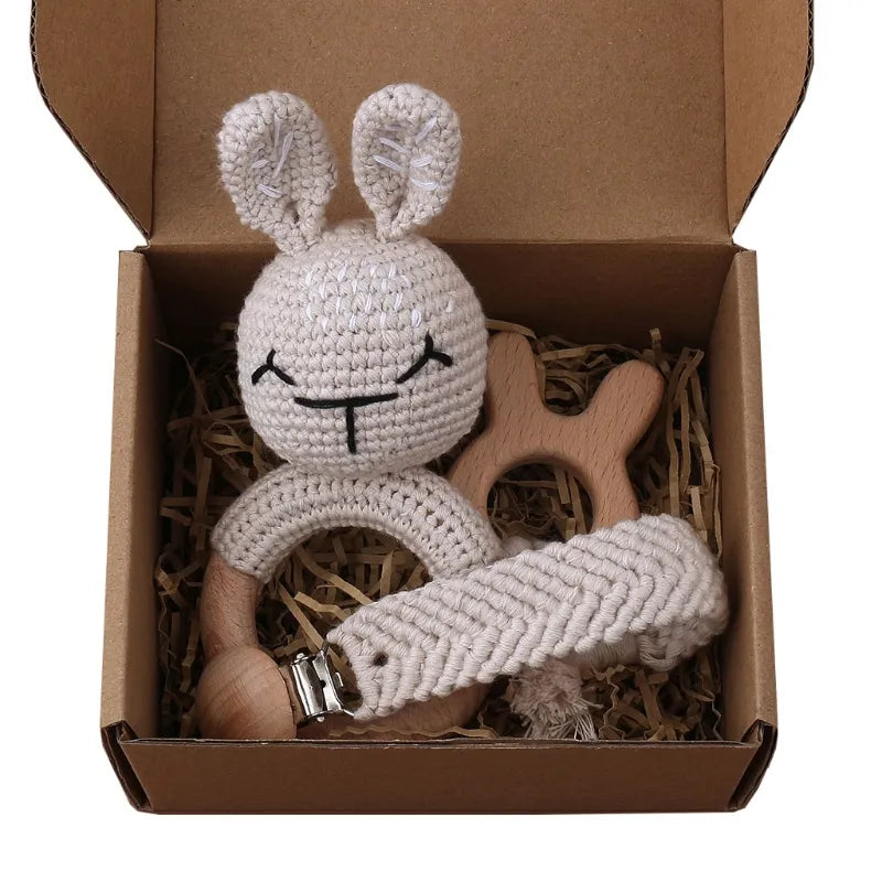 Pacifier Clip Teether Toy Set