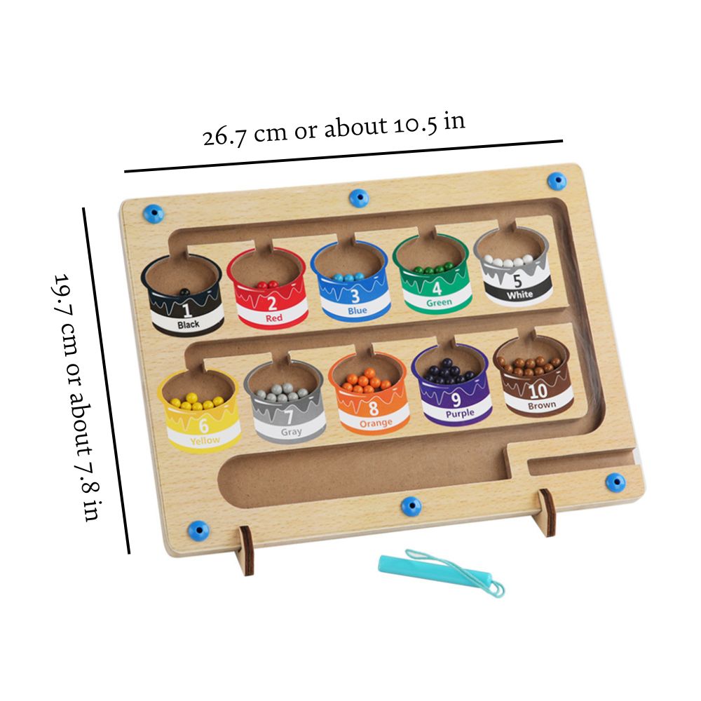 Educational Magnetic Maze