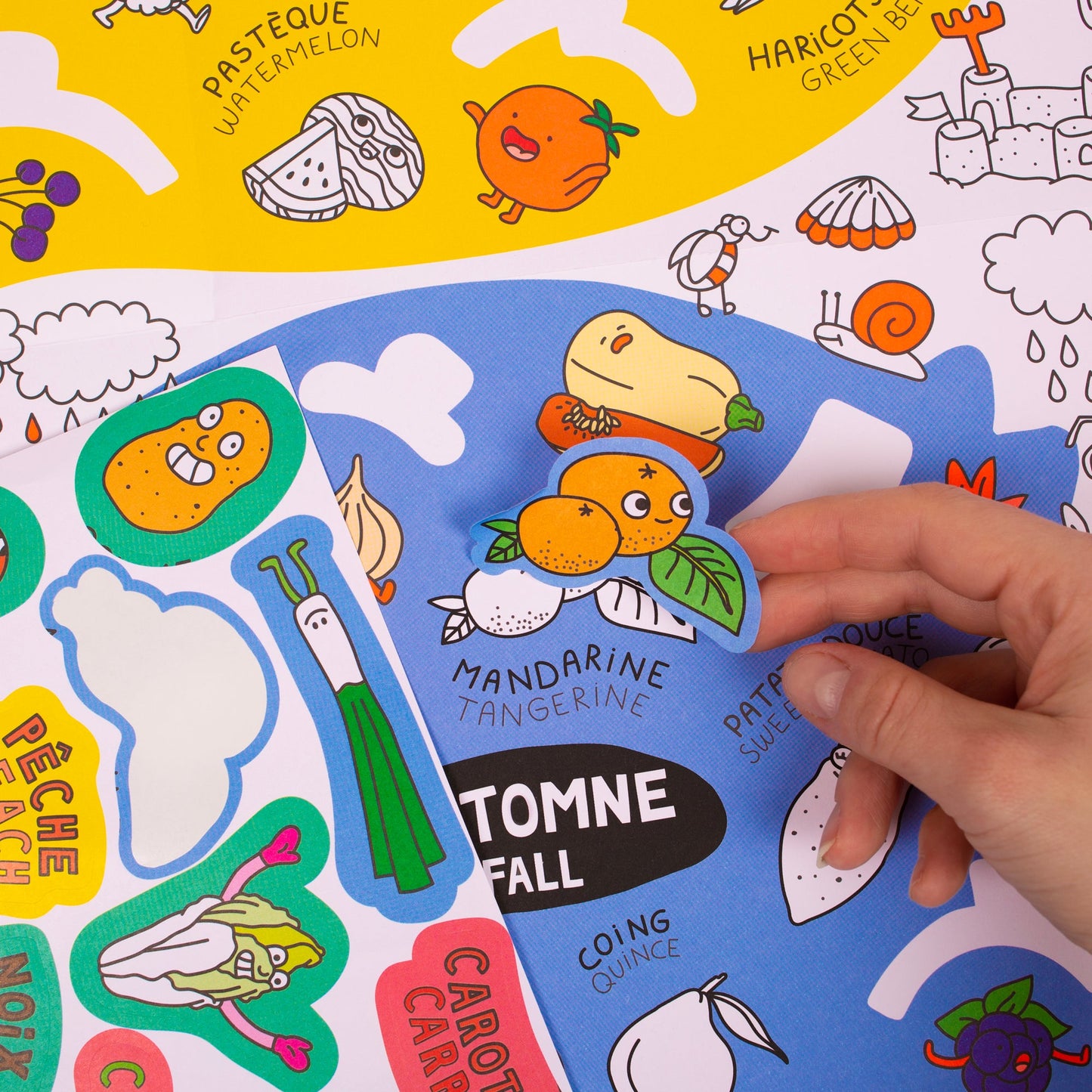 Fruits and vegetable - OMY SCHOOL