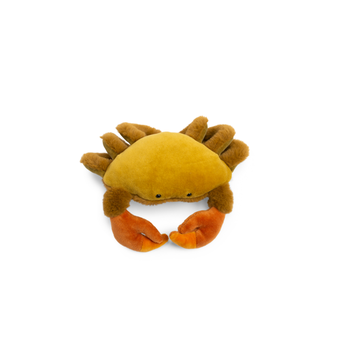 Crab (small) - All Around the World