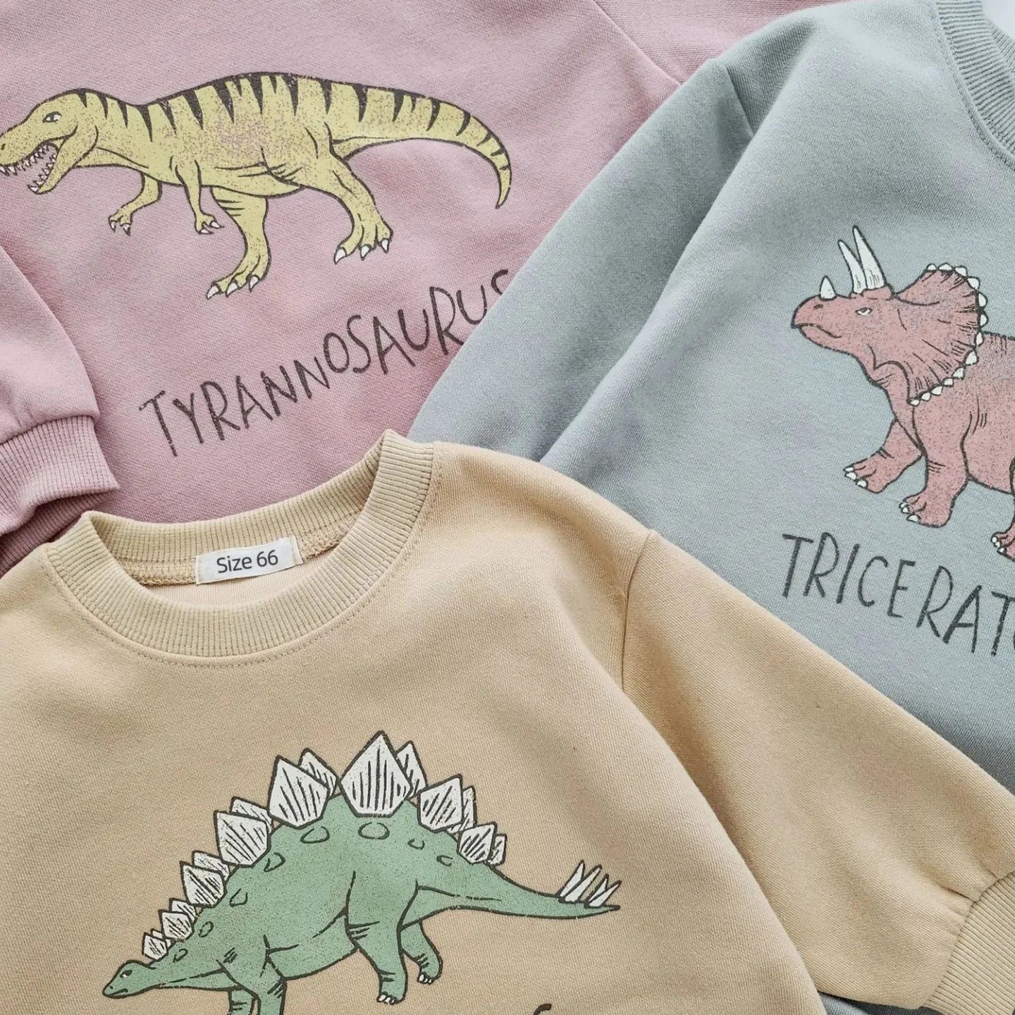 Dinosaur Long Sleeve Sweatshirt Bodysuit
