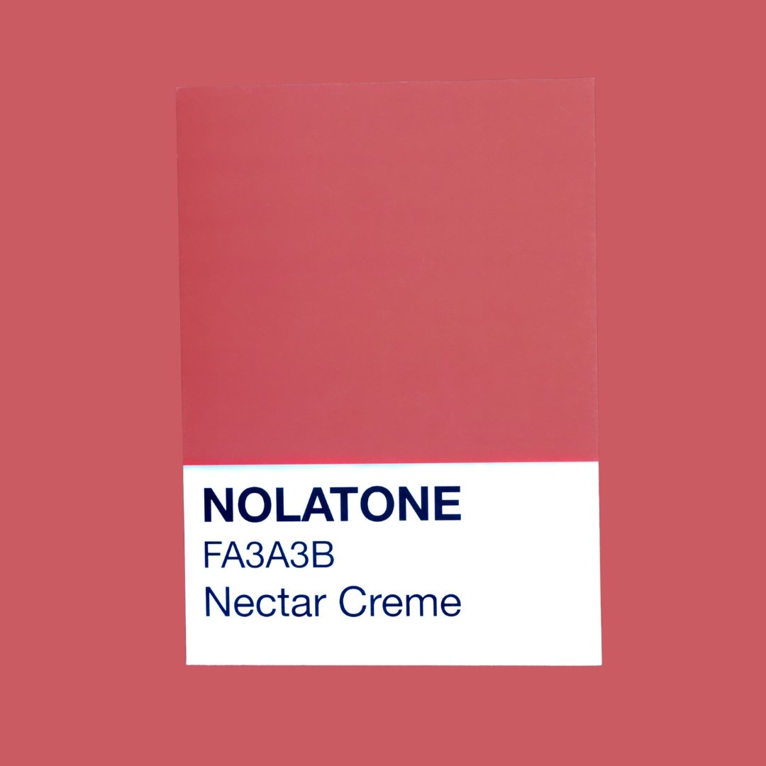 Nolatones Postcard - Nectar Creme