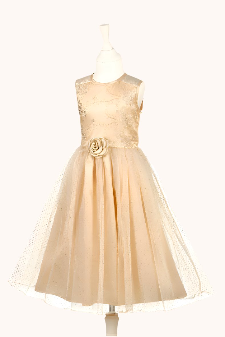 Noraline - Party Dress (3 sizes)