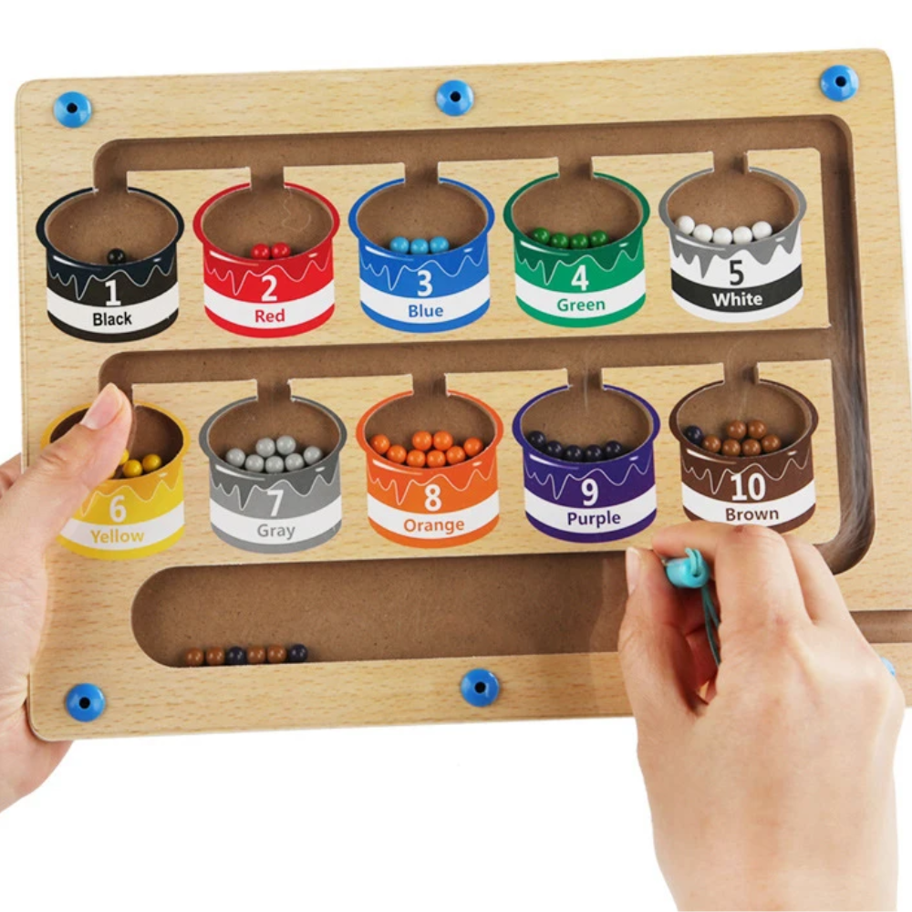 Educational Magnetic Maze