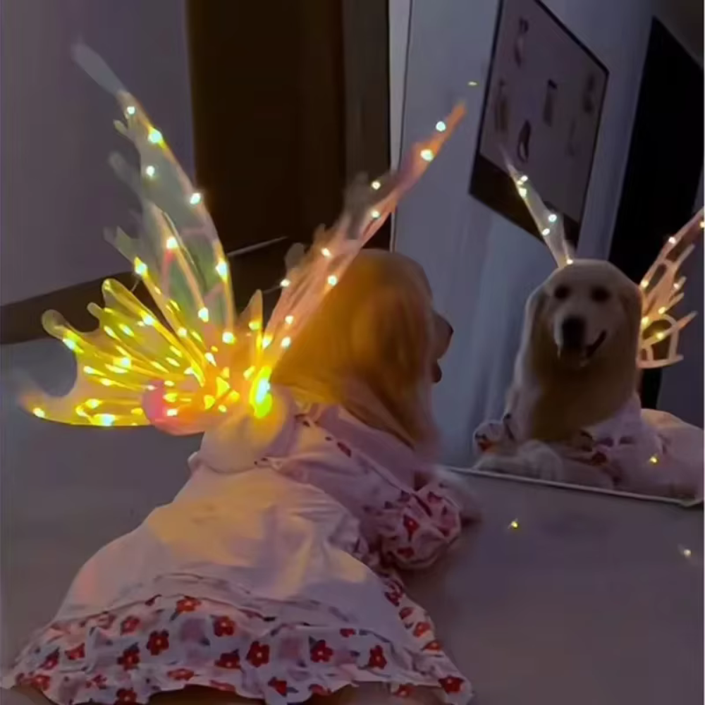 Butterfly Costume Wings