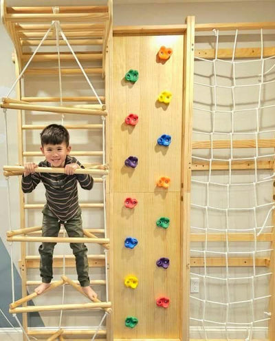 Ladder Attachment for Walnut Neem and Betula – Expand the Fun