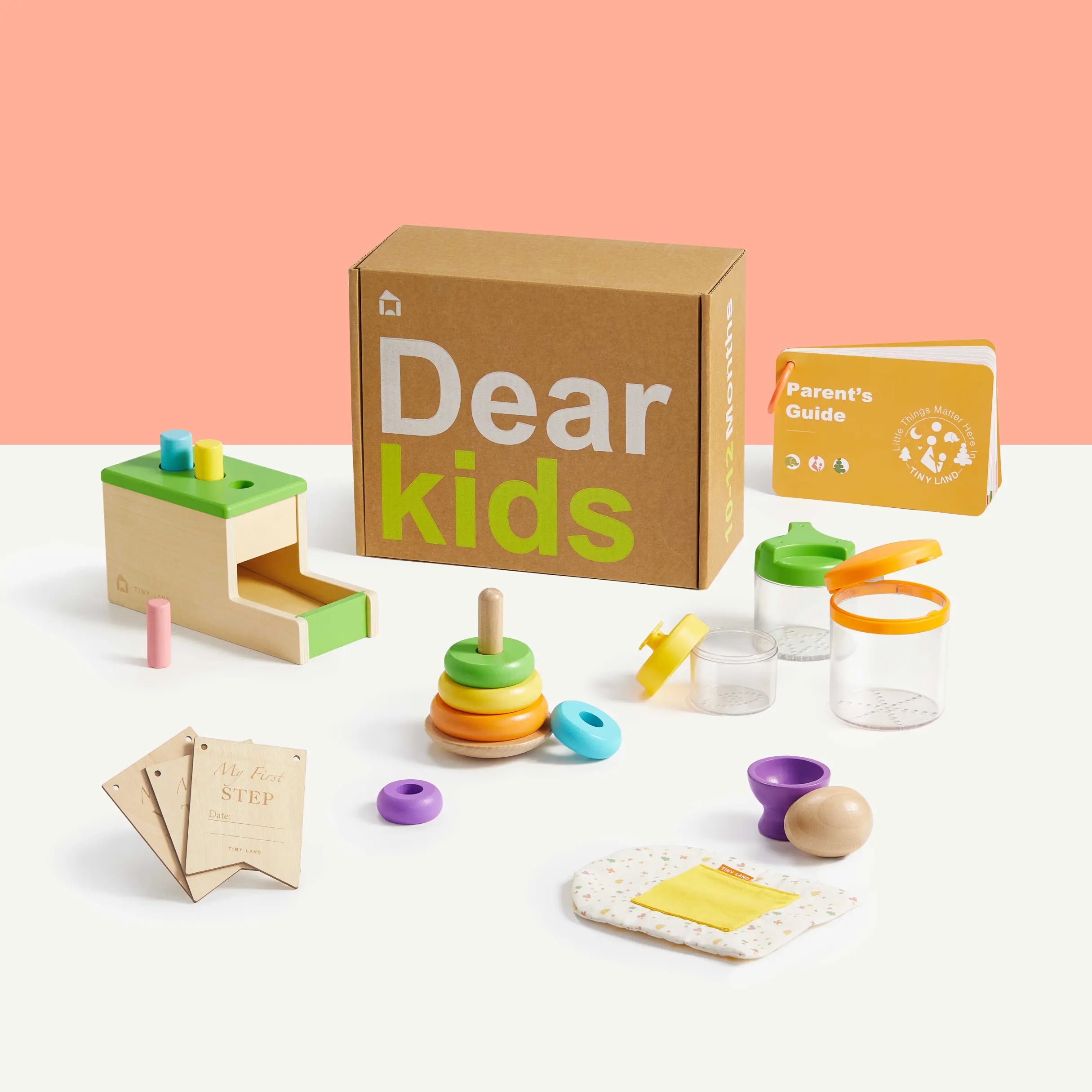 Tiny Land® Montessori Toys Set for Infants (10-12 month) - Kidtoycart