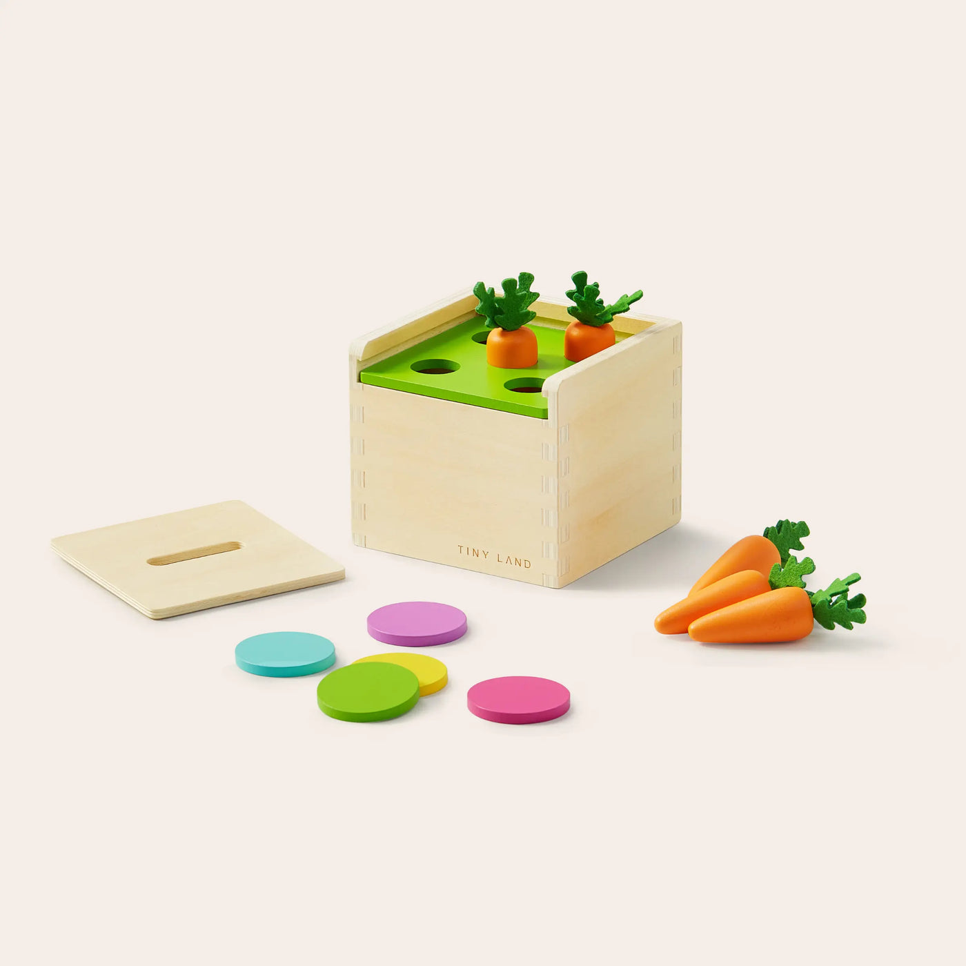 Tiny Land® Montessori Toys Set for Toddlers (13-15 month) - Kidtoycart