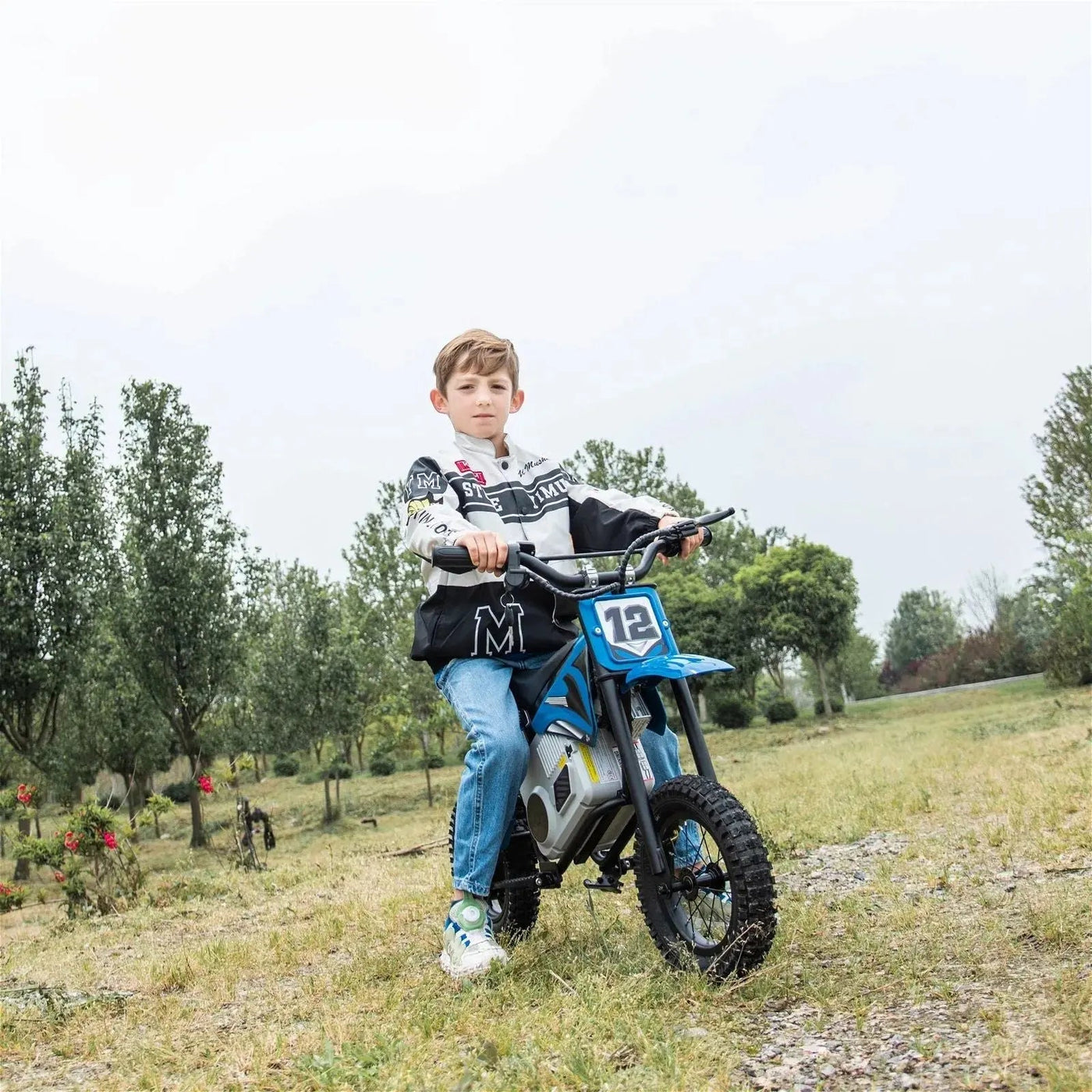 36V Freddo Electric Dirt Bike with Brushless Motor