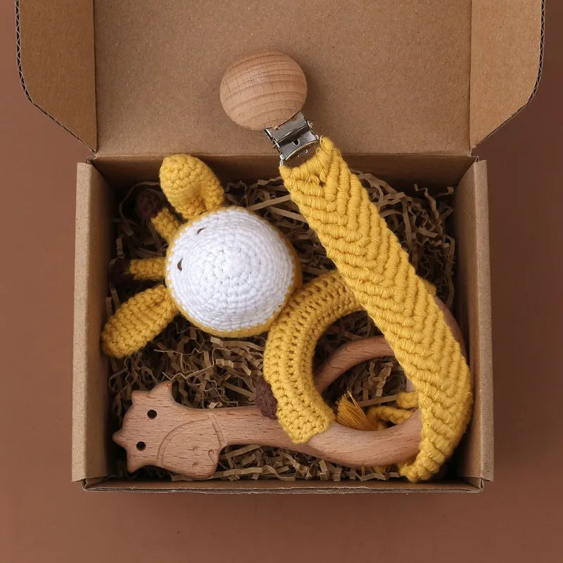 Pacifier Clip Teether Toy Set