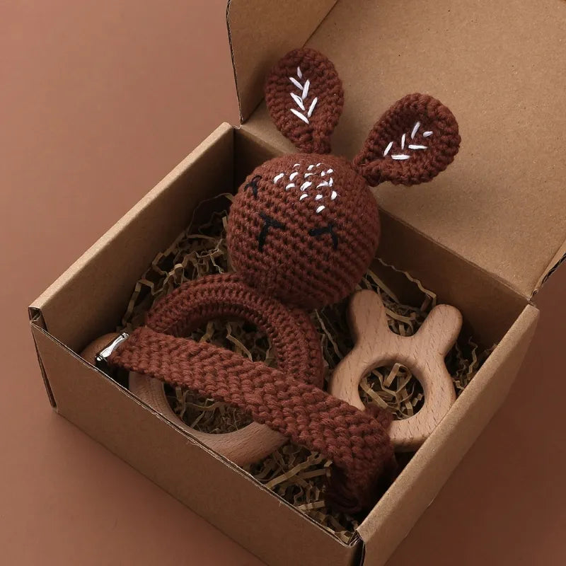 Pacifier Clip Teether Toy Set