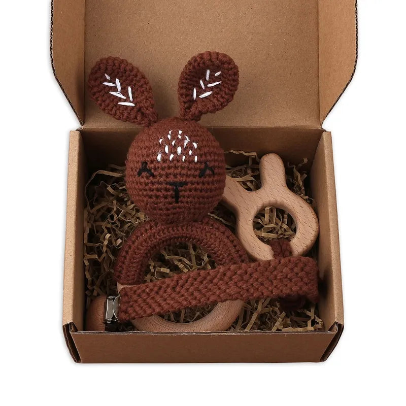 Pacifier Clip Teether Toy Set