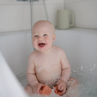 Vehicles Mold Free Bath Play Set