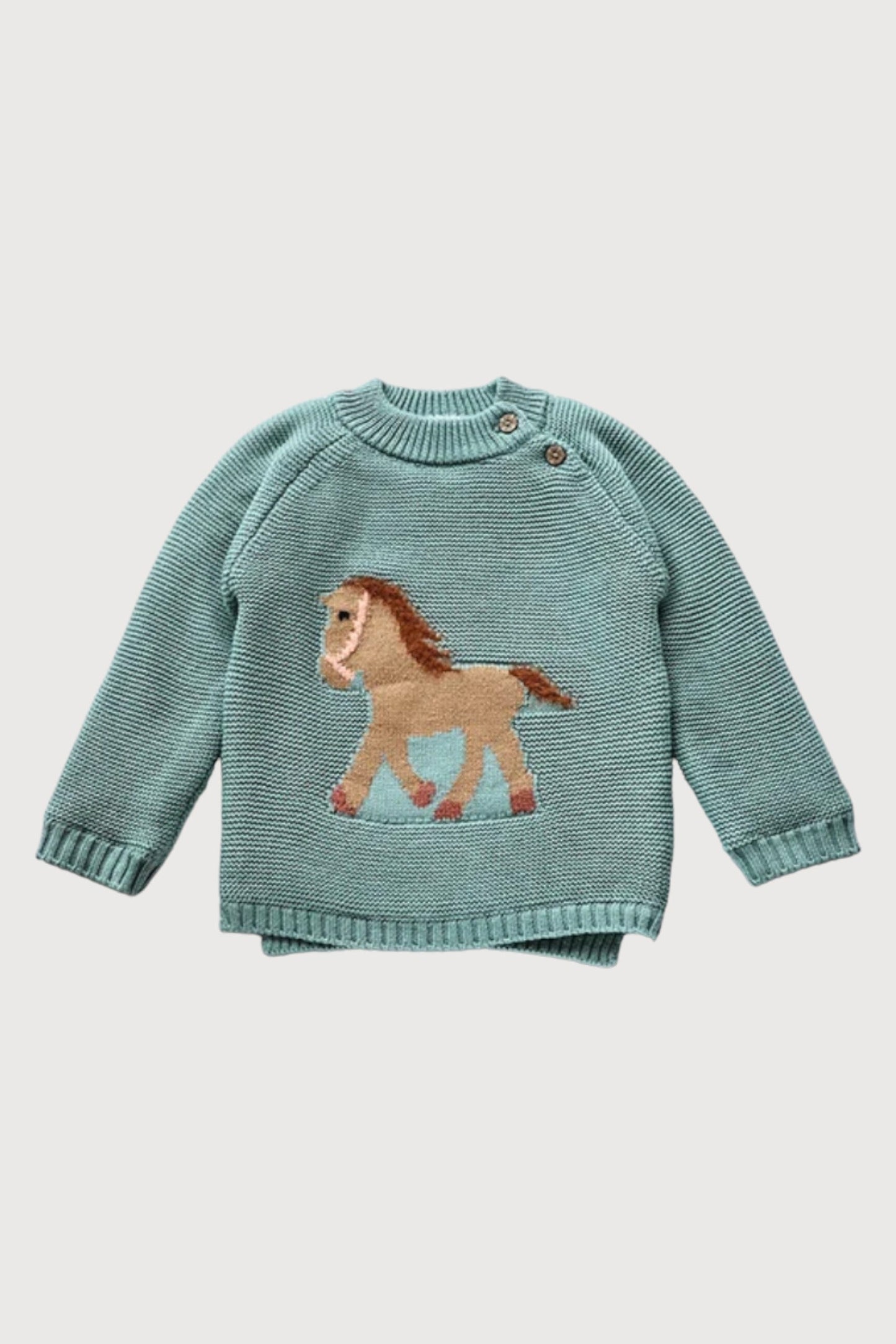 Fur Lining Embroidery Horse Sweater