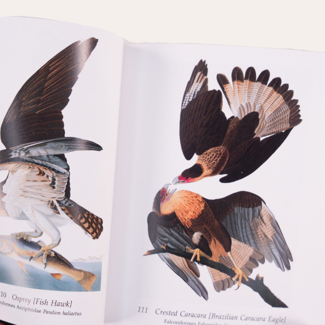 Audubon's Birds of America: The National Audubon Society Folio