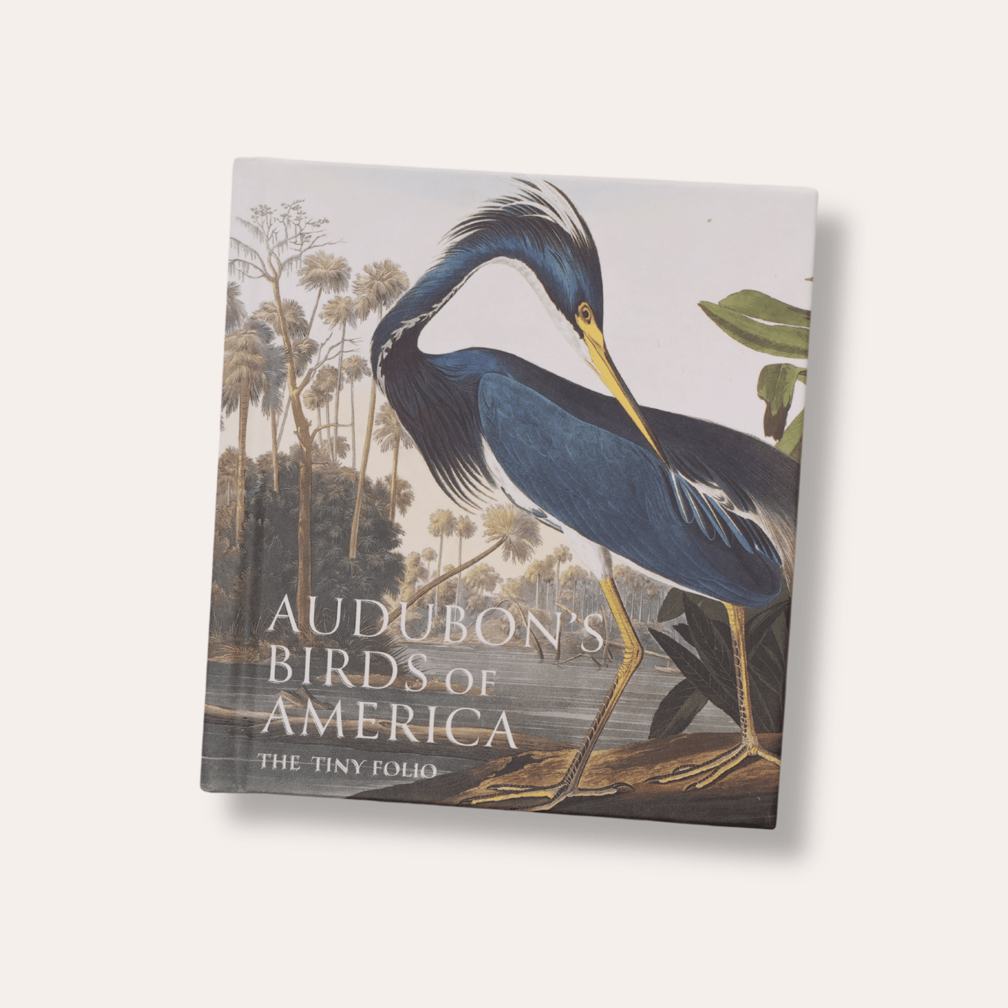 Audubon's Birds of America: The National Audubon Society Folio
