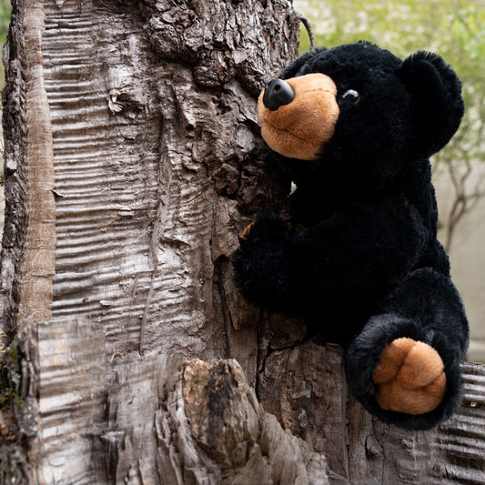 Black Bear Plush