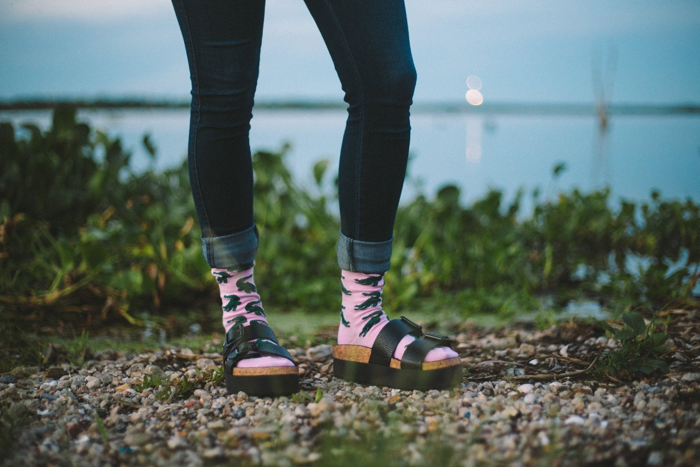 Gator Socks by Bonfolk