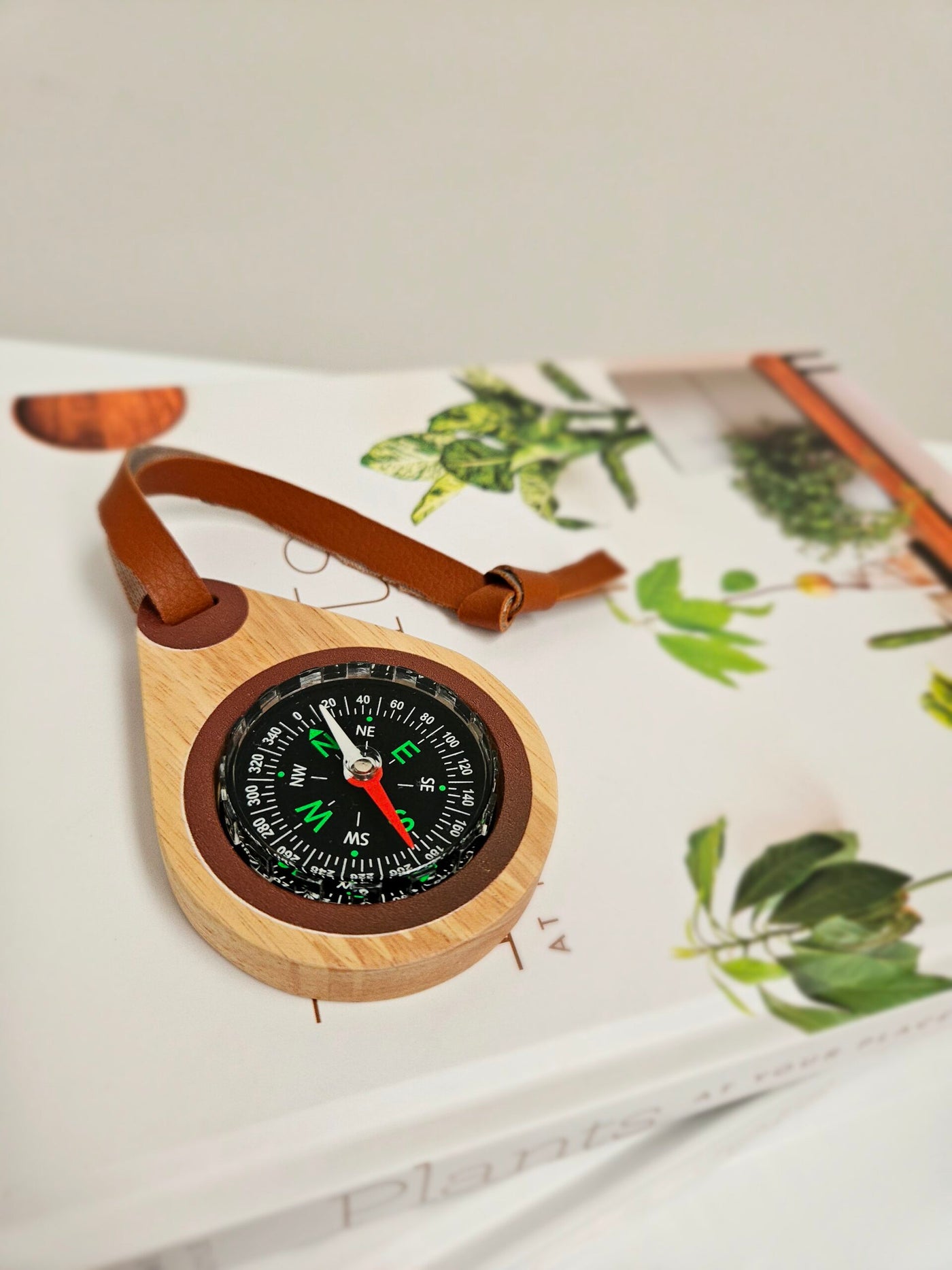 QToys Wooden compass