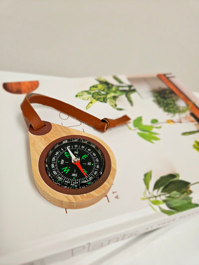 QToys Wooden compass