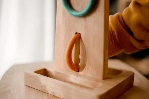 QToys Sorting Ring Toss - Kidtoycart