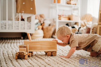 QToys Cargo Truck
