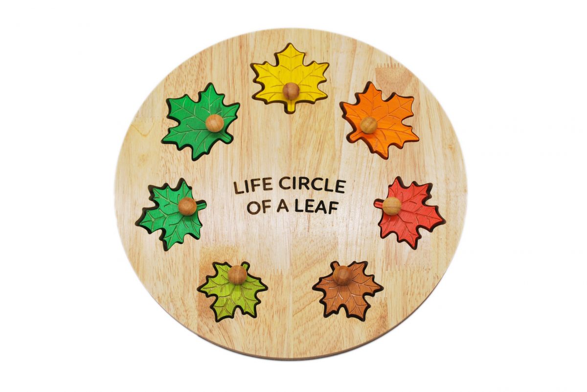 QToys Leaf Circle Of Life Puzzle