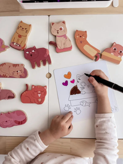 QToys  Cat play set & colouring - Kidtoycart