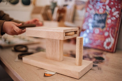 QToys MONTESSORI RINGS ACTIVITY