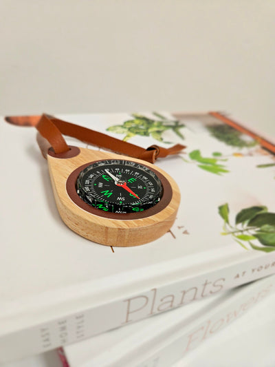 QToys Wooden compass
