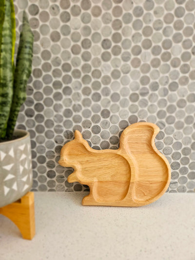 QToys Squirrel tray