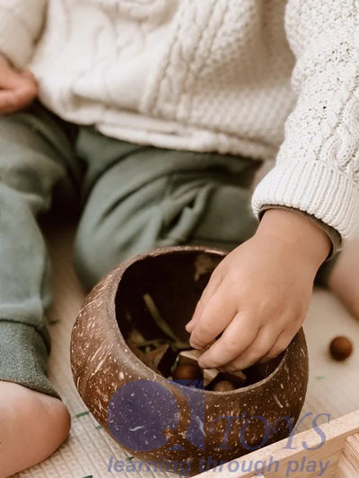 QToys  Coconut Sensory Box - Kidtoycart