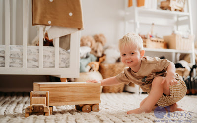 QToys Cargo Truck