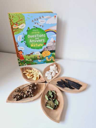 QToys Leaf Tray Set