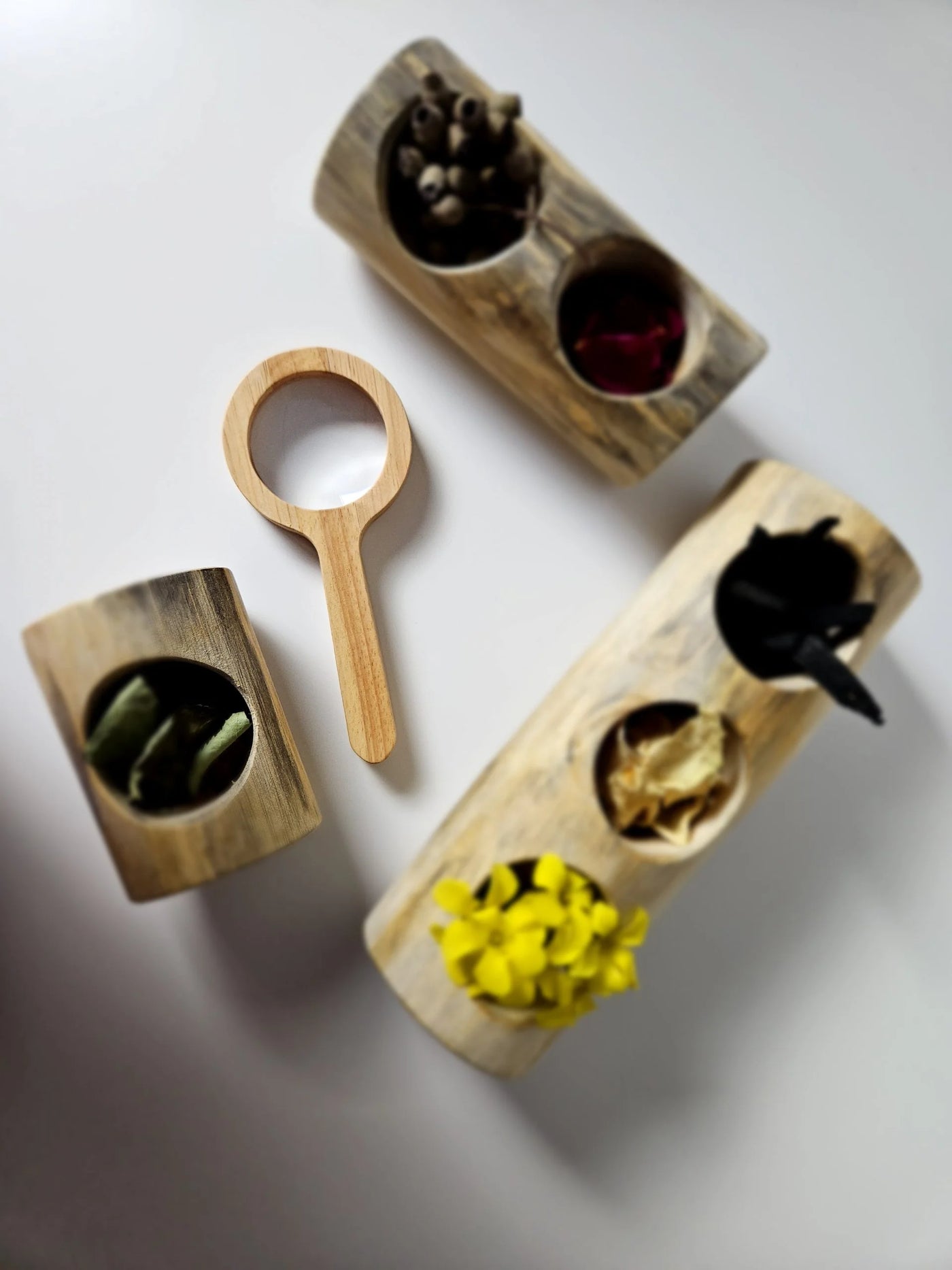 QToys Magnifying glass