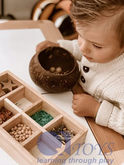 QToys  Coconut Sensory Box - Kidtoycart