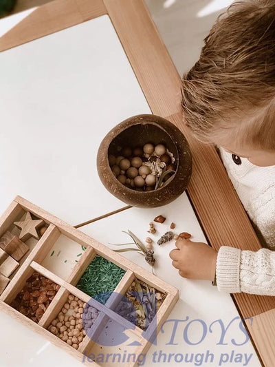 QToys  Coconut Sensory Box - Kidtoycart