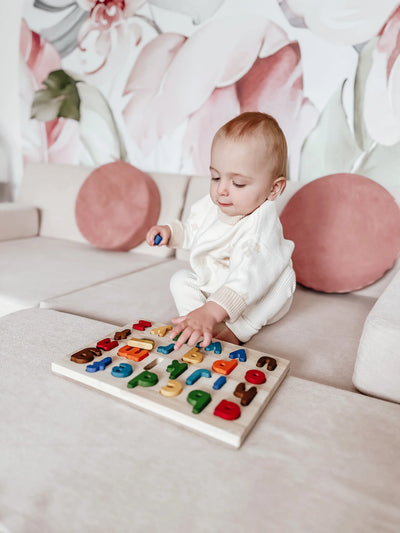 QToys  Lower case Letter Puzzle