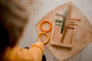 QToys Sorting Ring Toss - Kidtoycart