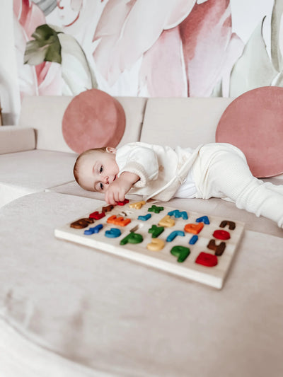 QToys  Lower case Letter Puzzle