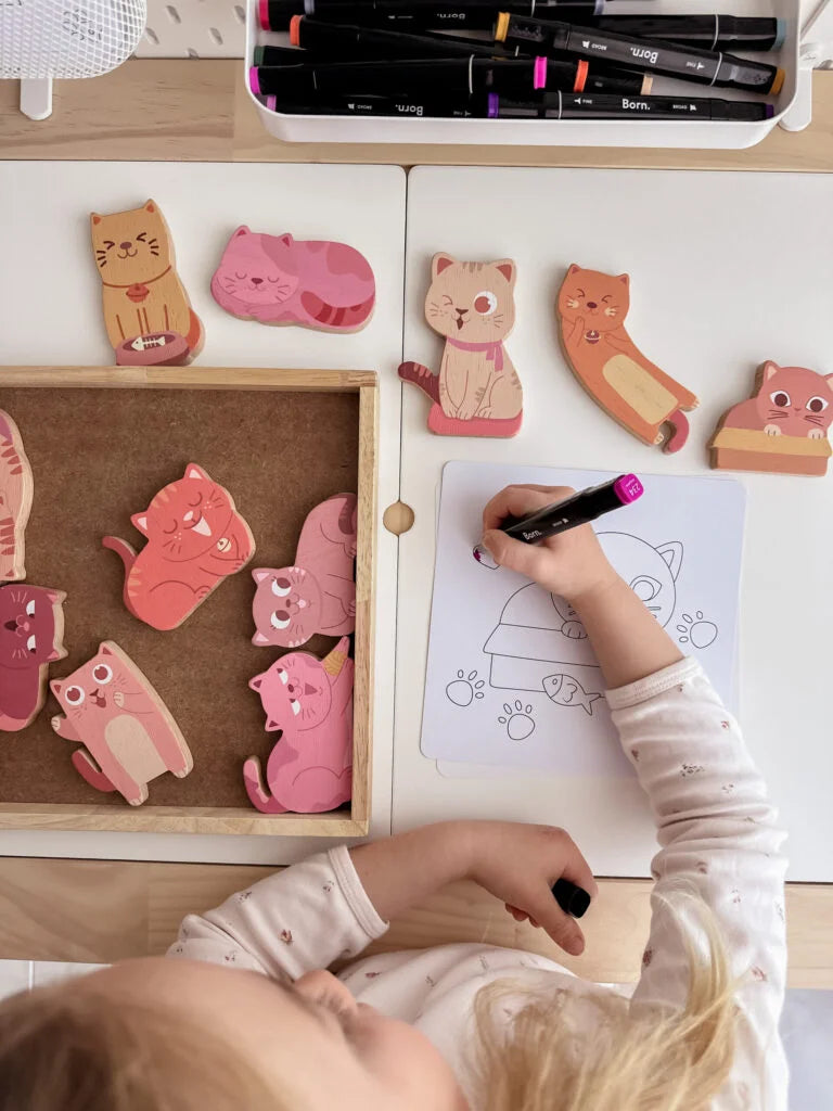 QToys  Cat play set & colouring - Kidtoycart