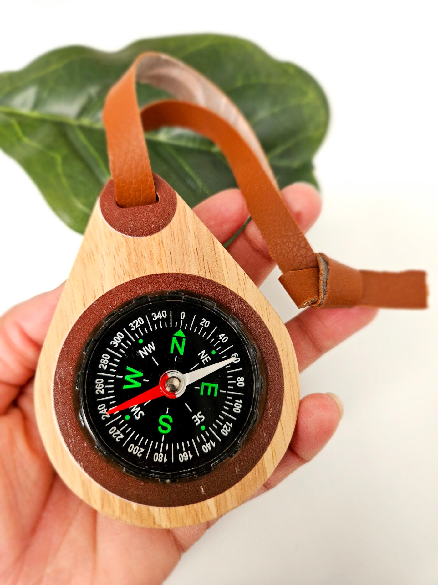 QToys Wooden compass