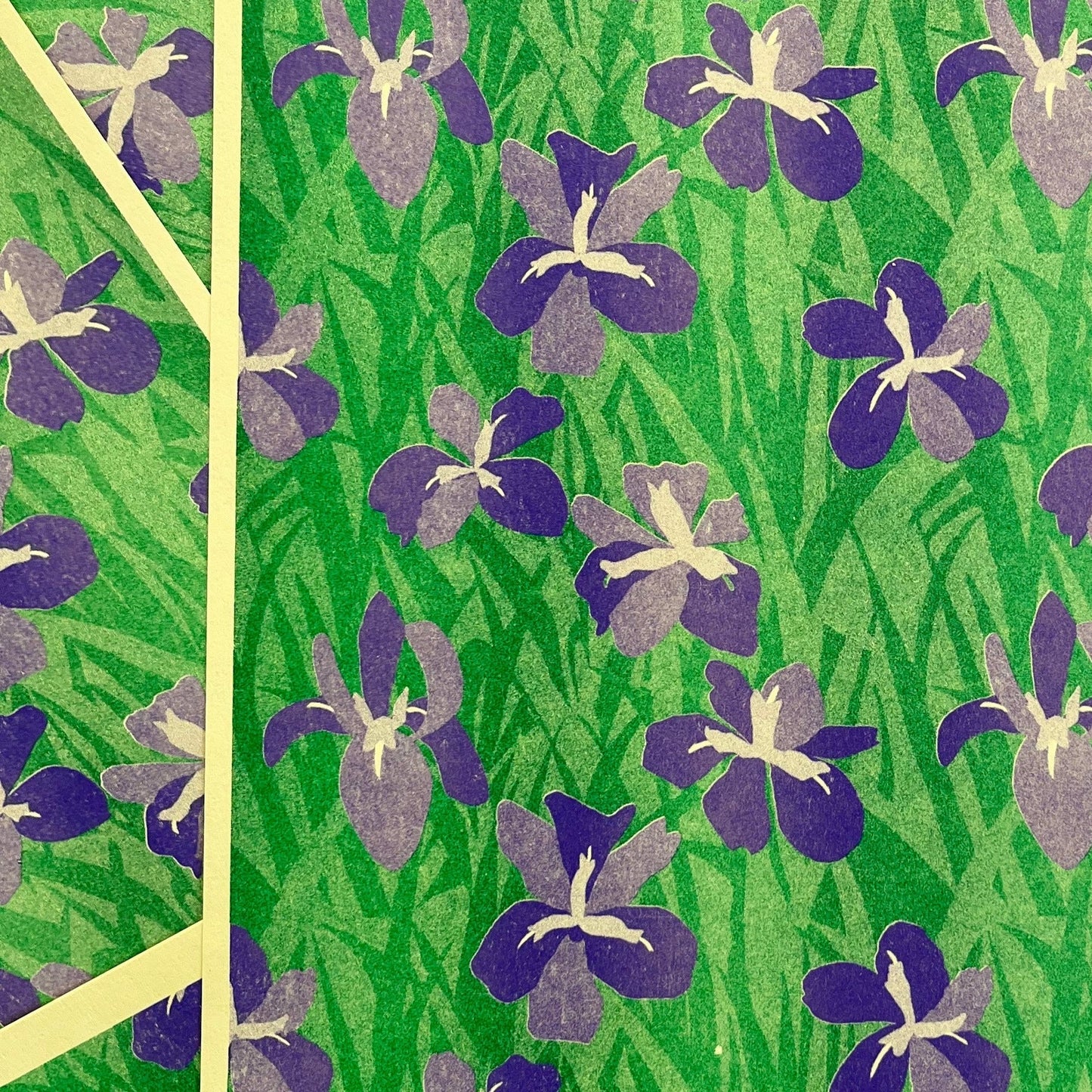 Iris Print
