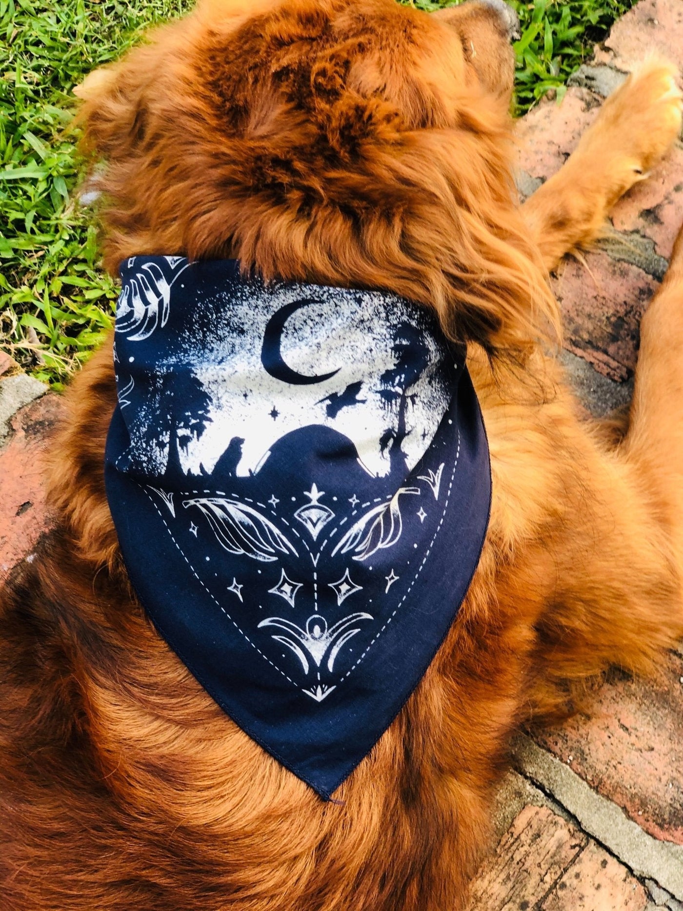 Louisiana At Night Dog Bandana