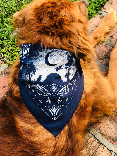 Louisiana At Night Dog Bandana